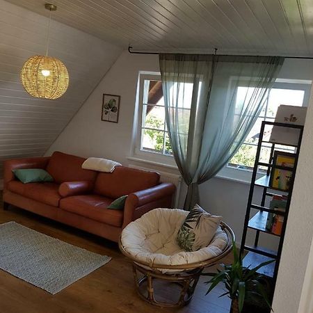Schoene, Helle Fewo Fuer 4 Personen Apartment Ettenheim Ngoại thất bức ảnh